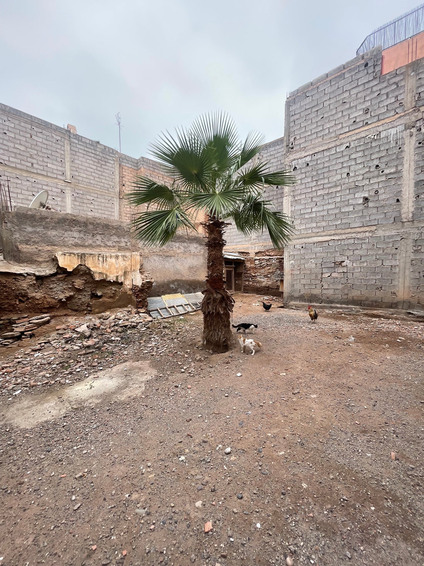 Land for Sale - Kasbah - 129m2 - €230,000