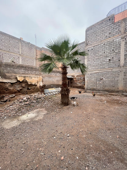 Land for Sale - Kasbah - 129m2 - €230,000