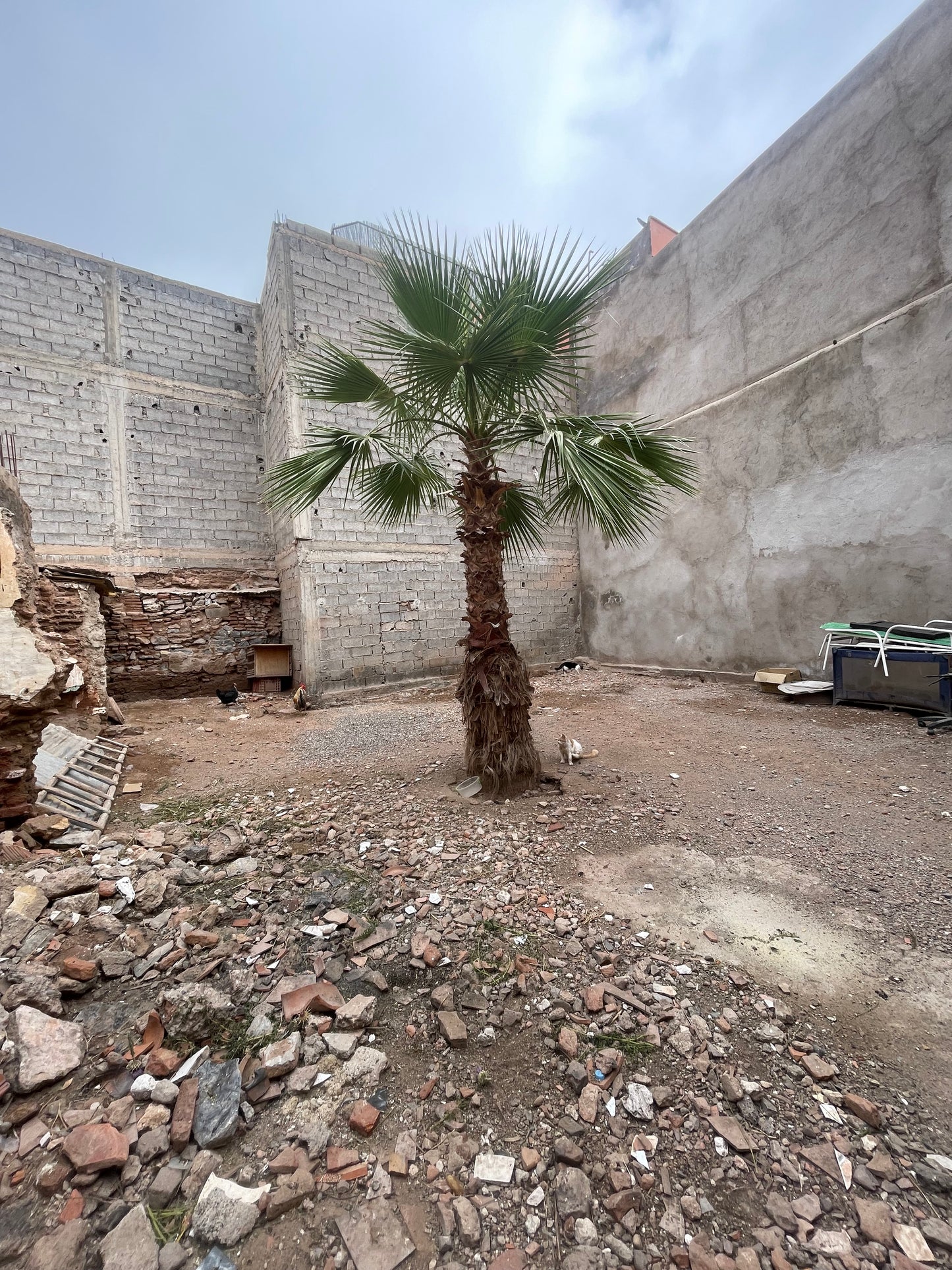 Land for Sale - Kasbah - 129m2 - €230,000