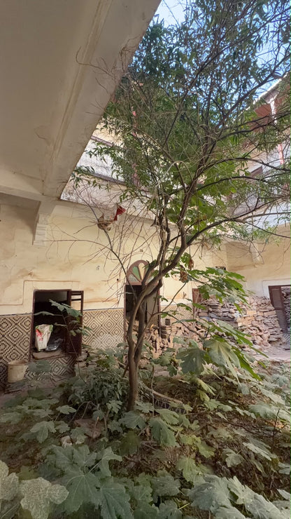Incredible Fully Titled Riad for Sale - Riad Zitoune - 264m2 + 100m2 Douriya - €760,000