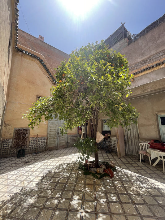 Beautifully Detailed Historic Riad for Renovation -120m2 - €300,000 - 200+ Years Old