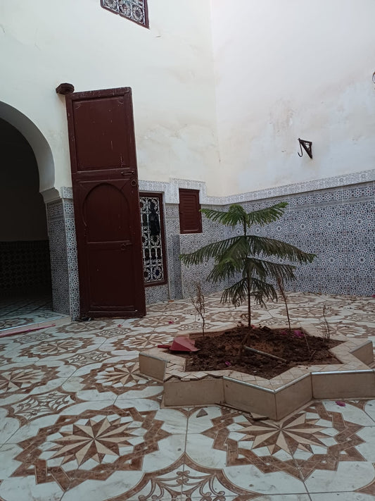 115 m² Titled 4-Bedroom Riad in Azbezt – €260,000