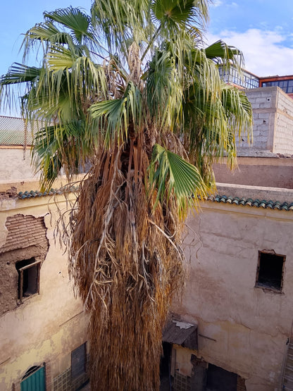 Ancient Riad for Renovation- Fully Titled - Derb Dabachi - 111m2 - €260,000