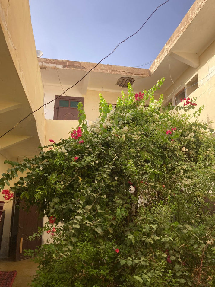 Peaceful Riad For Renovation